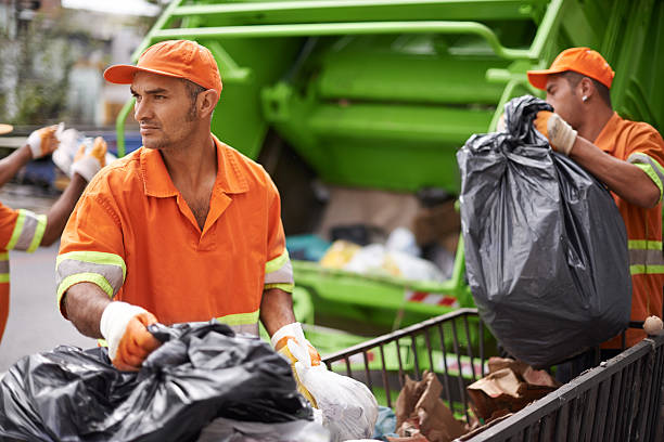 Best Demolition Debris Removal  in Windsor Heights, IA